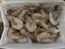 蝦有蝦途青島大蝦 超大號(hào)青蝦鮮蝦海蝦基圍蝦鮮冷凍生鮮水凍特大15-17cm 15-17厘米整箱 3斤(凈重)  【近期新貨】 曬單實(shí)拍圖