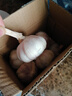 【百萬單爆品】紫白皮蒜水果大蒜超市生鮮蔬菜調(diào)料即食蒜 【優(yōu)選】 1斤 單果3.5-5cm 曬單實拍圖