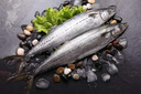 藍雪 冷凍 東海馬鮫魚(yú)扒300g 袋裝 國產(chǎn)鲅魚(yú)切段健康輕食魚(yú)類(lèi)生鮮水產(chǎn) 曬單實(shí)拍圖