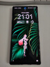 努比亞（nubia）紅魔11 Pro+ 12GB+256GB暗夜騎士 第五代驍龍8至尊版 風(fēng)水雙冷散熱 無(wú)線(xiàn)充電游戲手機 曬單實(shí)拍圖
