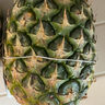 都樂(lè )Dole 進(jìn)口無(wú)冠金菠蘿 2只裝 金菠蘿 單果900g 曬單實(shí)拍圖