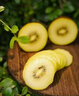 佳沛（zespri）新西蘭陽(yáng)光金果10個(gè)裝單果重約101-124g 中秋水果禮盒 獼猴桃 曬單實(shí)拍圖