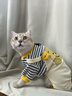 貓吖貓咪衣服秋冬保暖新款四腳背帶褲全包寵物狗狗衣服德文布偶防掉毛 黃色小熊背帶褲 M背長(cháng)30cm(貓7-10斤/狗6-10斤) 曬單實(shí)拍圖