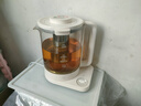 米家小米養(yǎng)生壺燒水壺恒溫電熱水壺煮茶壺泡茶器家用辦公室花茶燕窩壺 帶燉盅+316L濾網 1.5L燒水壺S2 曬單實拍圖
