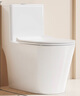 九牧（JOMOO）11383-2-1/31KA-1家用虹吸抗菌雙漩坐便器大沖力節(jié)水馬桶305坑距 曬單實(shí)拍圖