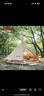 Naturehike挪客朗6.4棉布金字塔帳篷戶(hù)外野營(yíng)印第安露營(yíng)多人大型蒙古包裝備 流沙金/6.4㎡/不含地布 曬單實(shí)拍圖