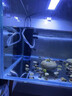 德國魚缸過濾制氧一體機(jī)內(nèi)置三合一凈水循環(huán)水泵家用養(yǎng)魚小型氧氣 23W 360度全面過濾換水套餐(適合120CM以 曬單實(shí)拍圖