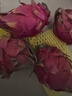 廣西紅心火龍果金都一號(hào)應(yīng)季紅肉超甜皮薄蜜寶新鮮孕婦健康水果 1粒裝 單果200g+ 曬單實(shí)拍圖