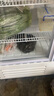 新飛（frestec）展示柜冷藏保鮮柜酒水飲料冰柜雙開(kāi)門(mén)冷藏柜酒店冷藏保鮮柜超市直冷玻璃門(mén)風(fēng)冷無(wú)霜冰箱立式冷柜 雙門(mén)藍白680L【直冷省電】1.2米 曬單實(shí)拍圖