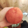 【脆甜多汁】正宗紅不軟脆桃水蜜桃當(dāng)季新鮮毛桃沐馳 紅不軟帶箱3斤 曬單實(shí)拍圖