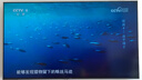 索尼（SONY）KD-85X85K 85英寸 4K HDR 全面屏智能電視 廣色域 120Hz 客廳巨幕 曬單實(shí)拍圖