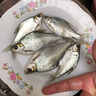 曼牌（MANNFILTER）空調(diào)濾芯濾清器CUK26009/26069寶來(lái)高爾夫8邁騰B8途觀L朗逸帕薩特 曬單實(shí)拍圖