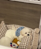 朵蔓純種比熊幼犬小型活物雙血統(tǒng)飛耳卷毛比熊犬家養(yǎng)寵物狗長不大可愛 血統(tǒng)級(jí) 比熊 公 曬單實(shí)拍圖