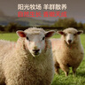 1號會員店黑豬軟骨肋排 凈重2.4斤 生鮮豬肉紅燒排骨純豬軟骨  曬單實拍圖