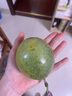 廣西欽蜜9號黃金百香果新鮮水果雞蛋果原漿整箱應當季新果 【特大果3斤】單果90g+ 曬單實(shí)拍圖