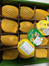 佳沛（zespri）新西蘭 陽(yáng)光金果12粒單果約122-146g 獼猴桃 中秋水果禮盒 曬單實(shí)拍圖