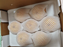 京鮮生 長(cháng)城豐水梨 凈重5斤 單果250g+ 新鮮當季 生鮮水果 曬單實(shí)拍圖
