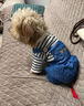 阿莫爾狗狗衣服秋冬款可牽引四腳背帶褲泰迪比熊博美小型犬寵物貓咪服裝 藍(lán)色【可牽引】 XS(建議1-3斤具體參考胸圍背長(zhǎng)) 曬單實(shí)拍圖