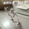 知酷骷髏可動(dòng)人偶骨架玩具骨節搞怪人偶關(guān)節可動(dòng)立體骷髏人模型抽象擺 白色骷髏 曬單實(shí)拍圖