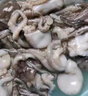 美加佳 三去小章魚(yú)凈重1斤（8-13只） 去牙去臟八爪魚(yú) 海鮮水產(chǎn) 曬單實(shí)拍圖