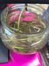 銅錢(qián)草根招財桌面盆栽金錢(qián)草根花卉室內水培土培植物水養地栽綠植 銅錢(qián)草根+1玻璃圓球/送營(yíng)養液 曬單實(shí)拍圖