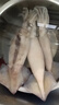 美加佳 鮮凍整只大魷魚(yú)（2-3只） 凈重550g 整條魷魚(yú) 深海捕撈 中秋送禮 曬單實(shí)拍圖