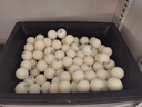 雙魚(yú)（DOUBLE FISH）乒頂B40+乒乓球發(fā)球機比賽標準訓練專(zhuān)用乒乓球展翅乒乓球 B40+一星球（袋裝100個(gè)）白色 曬單實(shí)拍圖