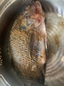 GUO LIAN國聯(lián)水產(chǎn) 三去羅非魚6條共4.2斤 非洲鯽魚生鮮紅燒魚食材源頭直發(fā) 曬單實拍圖