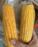 佳農 內蒙黃糯玉米棒2斤裝 180g起5-6包 真空鎖鮮 源頭直發(fā) 禮盒包郵 曬單實(shí)拍圖