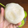 沁煦【順豐包郵】安徽碭山青蜜梨正宗青皮蜜梨翠冠當(dāng)季新鮮水果禮盒裝 【嚴(yán)選果丨單果200-250g】順豐到家 5斤 曬單實(shí)拍圖