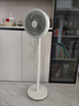 華凌美的【小暴風(fēng)】白天鵝空氣循環(huán)扇 家用電風(fēng)扇大風(fēng)量搖頭輕音臥室臺(tái)式落地扇節(jié)能空調(diào)扇WH-FGA2001 曬單實(shí)拍圖