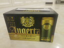 青島啤酒（TsingTao）奧古特原麥汁濃度12°P  500ml*12聽大罐整箱裝 七夕送禮 曬單實拍圖