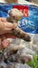 1號會(huì )員店黑虎蝦仁 0添加人工保水劑 海鮮水產(chǎn) 去蝦線(xiàn) 凈重1Kg（66-88只） 曬單實(shí)拍圖