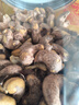 三只松鼠大顆粒紫皮腰果1000g 罐裝堅果炒貨干果腰果仁零食 團購送禮  曬單實拍圖