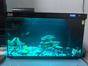 森森金麟超白智能魚缸小型桌面免換水生態(tài)魚缸一體缸自循環(huán) 【自動(dòng)喂食】LE-480B+加熱棒 曬單實(shí)拍圖