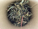 茶農(nóng)推薦:2025新茶上市!頭春嫩芽,九大高品質(zhì)綠茶組合 （五桶三罐）送兩袋共計540g 曬單實拍圖