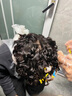 歐萊雅（LOREAL）彈力多姿雅燙發(fā)水藥劑冷燙卷發(fā)燙劉海冷燙自己在家燙頭發(fā)藥水沙龍 男士定位燙-1號正常發(fā)質(zhì) 曬單實(shí)拍圖
