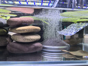 創(chuàng  )寧魚(yú)缸氧氣泵 養魚(yú)氣泵 水族箱增氧泵 打氧加氧泵 增氧機充氧泵 小號3W【裸機無(wú)配件】 曬單實(shí)拍圖