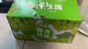 旭霽陽光玫瑰葡萄水果禮盒【多地次日達】云南晴王香印青葡提子 凈重4斤精品果 單粒8-18g 商超品質(zhì)果【精美禮盒】 曬單實拍圖