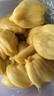 譯優(yōu)農(nóng) 海南榴蓮蜜三亞特產(chǎn)新鮮熱帶水果軟糯香甜濕苞巴掌榴蓮菠蘿蜜 凈重5-6斤【2-3顆果】品質(zhì)裝 曬單實拍圖