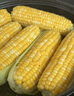 京鮮生云南水果玉米5斤 鮮甜玉米棒 甜脆多汁 新鮮蔬菜 源頭直發(fā)包郵 曬單實拍圖