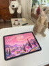 Apple/蘋(píng)果 iPad Air 11英寸 M3芯片2025年款 平板電腦 (256GB WLAN版)星光色 曬單實(shí)拍圖