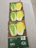 壽禾 黃心大白菜種子苗娃娃菜秋季種蔬菜種籽 金黃白白菜種子10g*3袋 曬單實(shí)拍圖