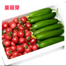 京地達(dá)山東水果黃瓜圣女果組合 凈重5斤 單果6g+蔬菜源頭直發(fā)包郵 曬單實(shí)拍圖