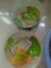 水培一葉蓮浮萍迷你水草凈化水質(zhì)魚(yú)缸造景睡蓮花水生水養花卉植物 一葉蓮 【10片裝】尺寸8-11厘米 曬單實(shí)拍圖