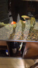 酷魚(yú)小型魚(yú)缸無(wú)動(dòng)力前置過(guò)濾桶水草缸前外置過(guò)濾器水族箱缸外凈化器 【半棉版】A款-240A/16接頭 外置無(wú)動(dòng)力過(guò)濾桶 高效凈水 多層過(guò)濾 曬單實(shí)拍圖