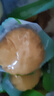 東北玉米漿包特產(chǎn)新鮮玉米餅糯玉米早餐手工粗糧添加煎鍋低脂香甜 100g*8個 曬單實拍圖