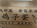 沂鮮新鮮鴿子蛋正宗五谷雜糧散養信鴿蛋30枚孕婦寶寶農家初生蛋禮盒裝 鴿子蛋30枚 曬單實(shí)拍圖