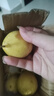 鮮青錄廣西黃金百香果欽蜜9號(hào)新鮮水果黃色白香果西番蓮雞蛋果 凈重1斤（單果60-70g） 曬單實(shí)拍圖