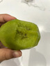 正宗徐香獼猴桃30枚新鮮水果當季現摘薄皮爆甜周至綠心奇異果大果 22枚大果 曬單實(shí)拍圖